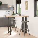 vidaXL Pieds de table de bar Anthracite 2 pièces 60 x (110-111) cm Acier