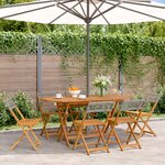 vidaXL Chaises de jardin pliantes lot de 6 gris poly rotin bois massif