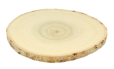 Disque tranché en bois (peuplier) 20-23cm 2 pièces