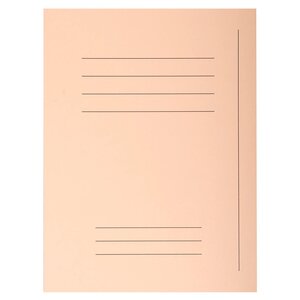 Paquet 50 Chemises Forever® 220 100 Recyclé Avec Impression - 24x32cm - Bulle - X 5 - Exacompta