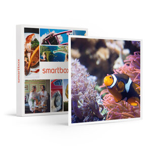SMARTBOX - Coffret Cadeau Visite de l’Aquarium Sea Life de Val d’Europe -  Sport & Aventure