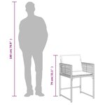 vidaXL Chaises de jardin lot de 4 avec coussins noir résine tressée