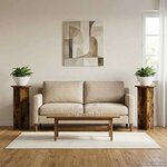 vidaXL Support de Plante 2 Pièces Chêne fumé 29 5 x 29 5 x 60 cm