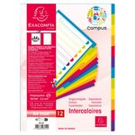 Intercalaire a4+ polypropylène coloré opaque exacompta 12 onglets neutres réinscriptibles multicolores - 1 jeu