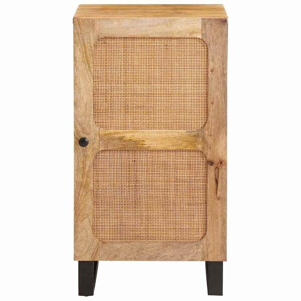 vidaXL Buffet avec porte Marron 40 x 33 x 75 cm Bois de mangue massif