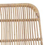 vidaXL Chaise de salle à manger 2 pc Rattan et Acier Naturel