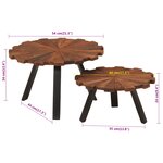 vidaXL Tables basses 2 Pièces bois massif récupéré et fer