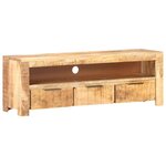 vidaXL Meuble TV 119x30x41 cm Bois de manguier brut