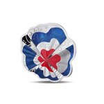 Moulin Rouge Monnaie de 10€ Argent colorisée