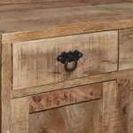 vidaXL Buffet avec étagères Bois de manguier massif 120 x 35 x 200 cm