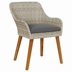 vidaXL Chaise de jardin 2 Pièces Gris clair 62 5 x 55 x 82 cm polyrotin
