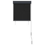 vidaXL Store roulant d'extérieur 60 x 250 cm Anthracite