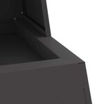 vidaXL Braise Noir 60 x 35 x 100 cm Acier