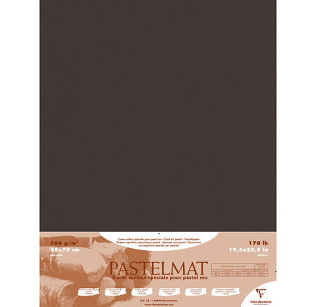 Paquet de 5 feuilles Pastelmat 360g 50x70 Anthracite CLAIREFONTAINE