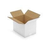 Caisse carton blanche double cannelure raja 35x25x25 cm (lot de 15)