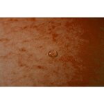 Chemise à élastique sans rabat carte lustrée 400gm2 - A4 - Orange x 25 EXACOMPTA