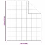 vidaXL Couettes & Duvets Blanc 260 x 220 cm Bas