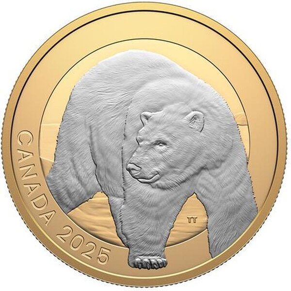 Pièce de monnaie en Argent 20 Dollars g 31.39 Millésime 2025 Animal Portraits POLAR BEAR