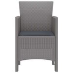 vidaXL Chaise de jardin 2 Pièces Gris clair 53 x 49 x 85 cm PP