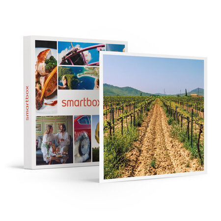 SMARTBOX - Coffret Cadeau Visite du vignoble de la Bastide des oliviers et de sa cave avec dégustation pour 2 -  Gastronomie