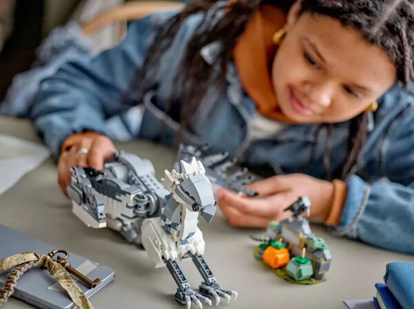 Lego harry potter : buck l'hippogriffe - modèle 76427 à construire multicolore Lego | La Redoute Lego harry potter : buck l'hippogriffe - modèle 76427 à construire multicolore Lego | La Redoute