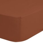 Good morning drap-housse 140x200 cm terre cuite
