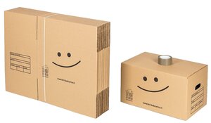 Pack 20 cartons standard avec poignées + 1 adhésif offert