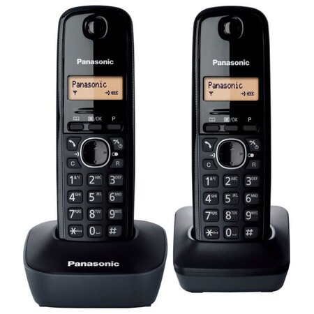 Panasonic KX-TG1612FRH Duo Téléphone Sans Fil Sans Répondeur Noir