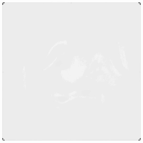 vidaXL Couverture pour plantes 2 x 2 m PVC Transparent