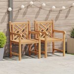 vidaXL Chaises de jardin 2 Pièces Marron 58 x 60 x 90 cm