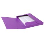 Boite De Classement Cartobox Dos 25mm Carte Lustrée - A4 - Violet - X 25 - Exacompta
