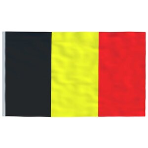 vidaXL Drapeau Belgique 90x150 cm