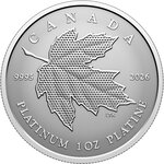 Pièce de monnaie en Platine 300 g 31.16 Millésime 2026 MAPLE LEAF FOREVER