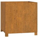 vidaXL Jardinières avec pieds 2 Pièces Rouillé 49x47x50 cm Acier corten