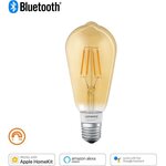 Ledvance ampoule smart+ bluetooth edison fil or  53w e27 puissance variable