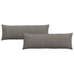 vidaXL Coussins de canapé 2 Pièces Gris clair 120 x 40 cm