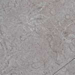 vidaXL Planches de plancher PVC Non auto-adhésif 5 26m² 2mm Gris terre
