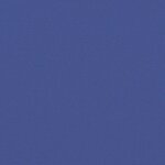 vidaXL Auvent latéral rétractable bleu 140x600 cm