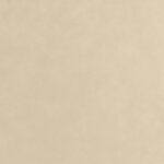 vidaXL Toison végétale 2 rouleaux 70 g/m² 10x1 6 m