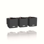 LECHUZA 3 Pièces Jardinières Green Wall Home Kit Ardoise