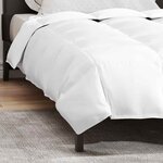 vidaXL Duvet d'hiver Blanc 135 x 220 cm Plume