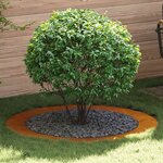 vidaXL Anneau d'Arbre Plat 5 Pièces Ø90/120 cm en Acier Résistant aux Intempéries