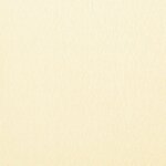 vidaXL Auvent latéral pliable de terrasse Crème 300 x 150 cm