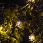 LUMI JARDIN Guirlande lumineuse extérieure connectable Party Clear - 20 globes guinguette - LED - 9,6 m - Blanc chaud