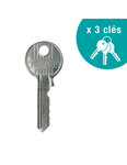THIRARD - Verrou double entrée Apache pour porte d'entrée  cylindre 50mm  acier  3 clés  époxy or