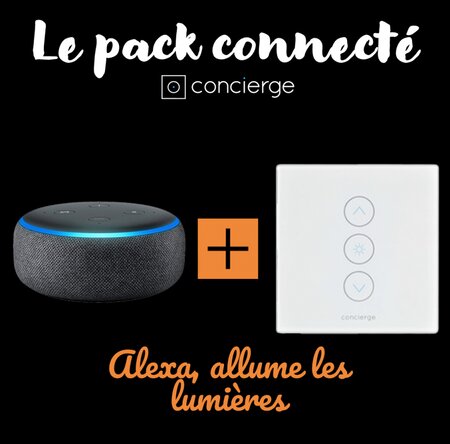 Pack connecté : Echo Dot 3 (2ème génération) + Interrupteur Versailles pour lumières connectées