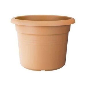 Cilinder Pot de fleurs Marron clair 55 cm