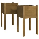 vidaXL Jardinières 2 Pièces Marron miel 40x40x70 cm Bois de pin massif