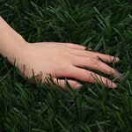 vidaXL Clôture Artificielle Vert foncé 1 5 x 4 m PVC et Acier