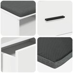 vidaXL Banc d'entrée avec coussin avec tiroir Blanc 100 x 38 x 46 cm
